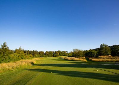 Bestes Parkland-Ambiente