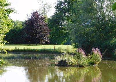 Leicht hügeliges Gelände mit Wasserhindernissen