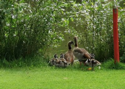 Ein Landwirt als Promoter