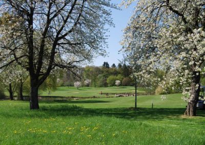 Schlagfertig in die Back Nine